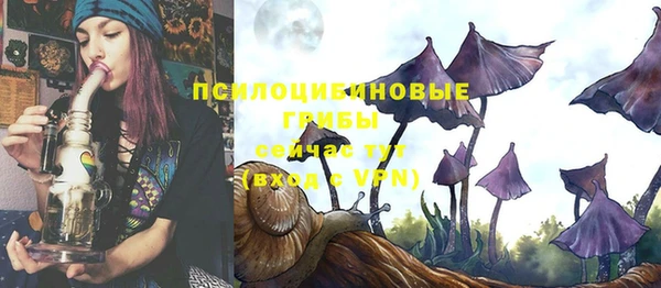 шишки Вязьма