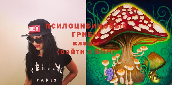 стаф Наволоки