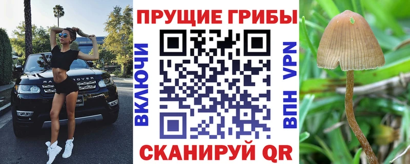 Псилоцибиновые грибы Magic Shrooms  Няндома 